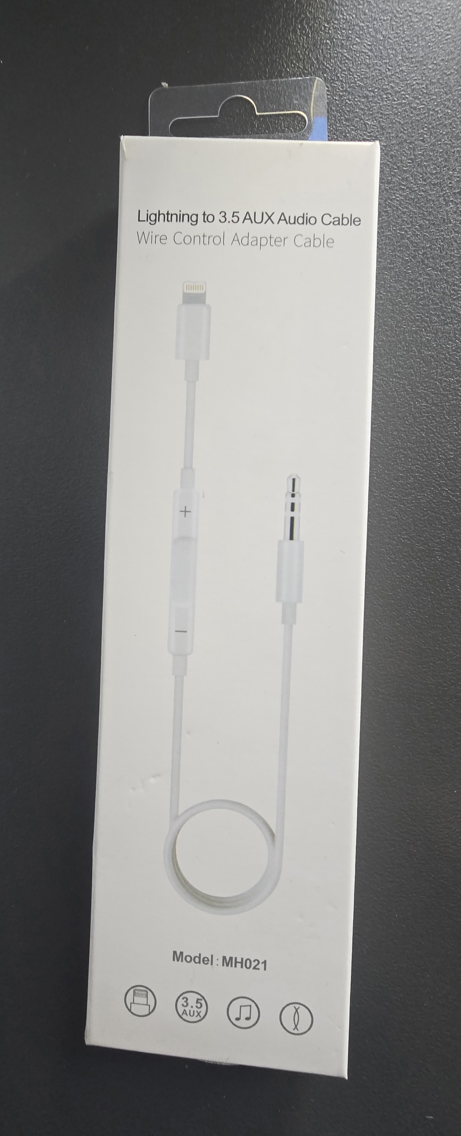 Aux cable audio Lightning